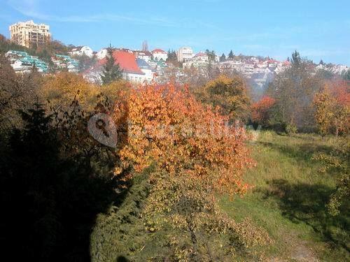 1 bedroom with open-plan kitchen flat to rent, 51 m², Nad Rokoskou, Prague, Prague