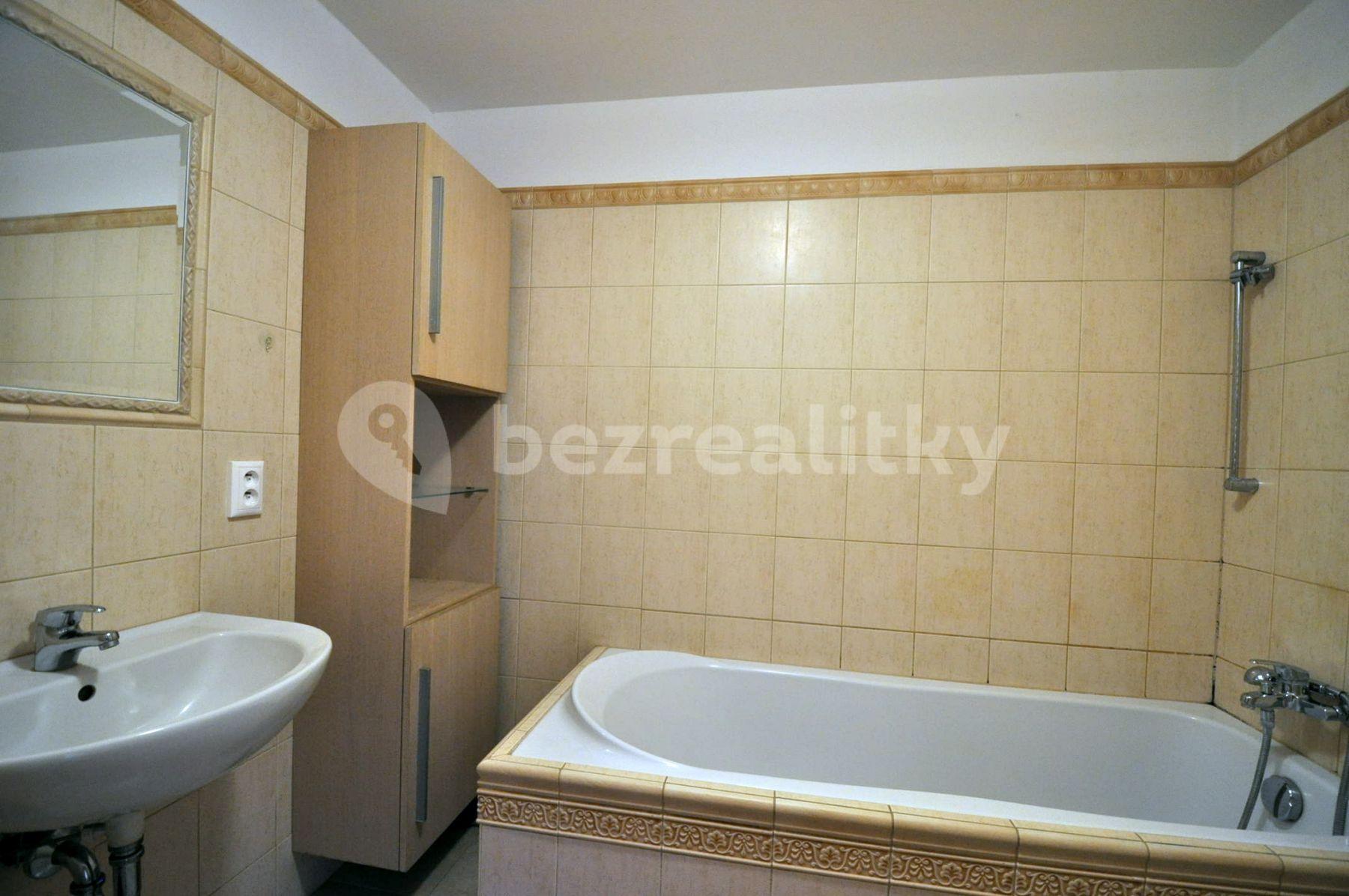 1 bedroom with open-plan kitchen flat to rent, 51 m², Nad Rokoskou, Prague, Prague