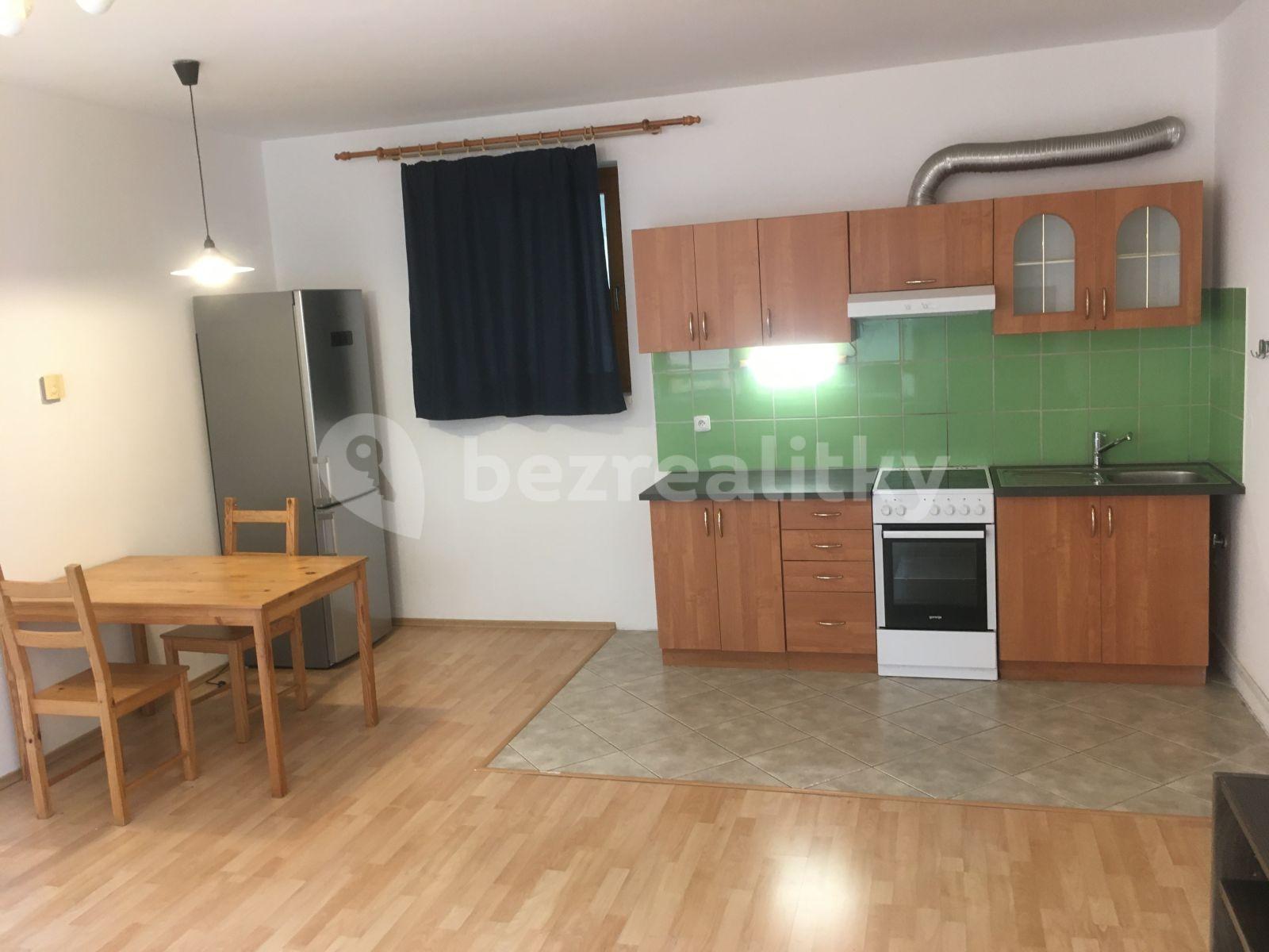 2 bedroom with open-plan kitchen flat to rent, 65 m², Rostovská, Prague, Prague