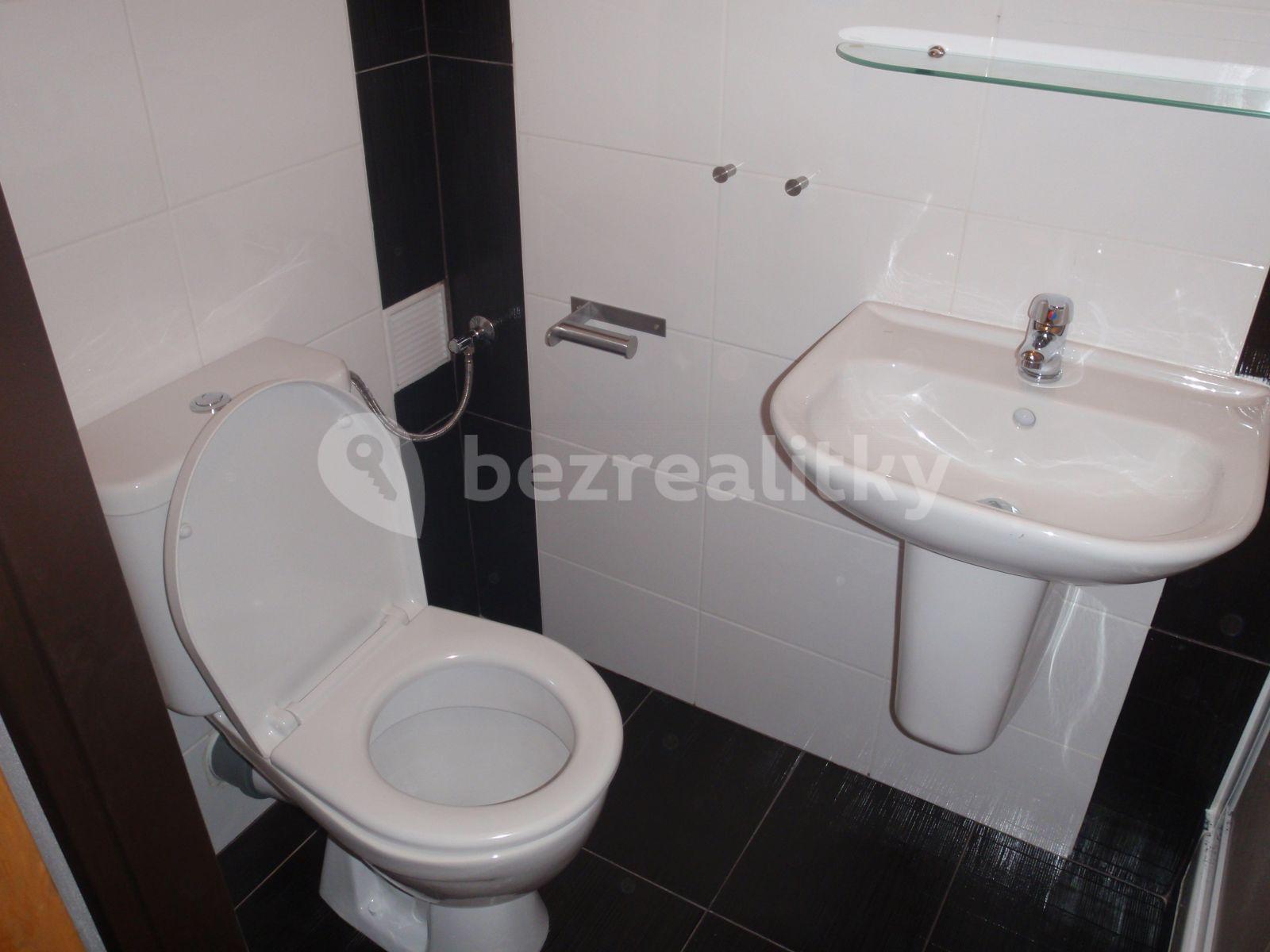 1 bedroom with open-plan kitchen flat to rent, 40 m², Nezamyslova, Prague, Prague