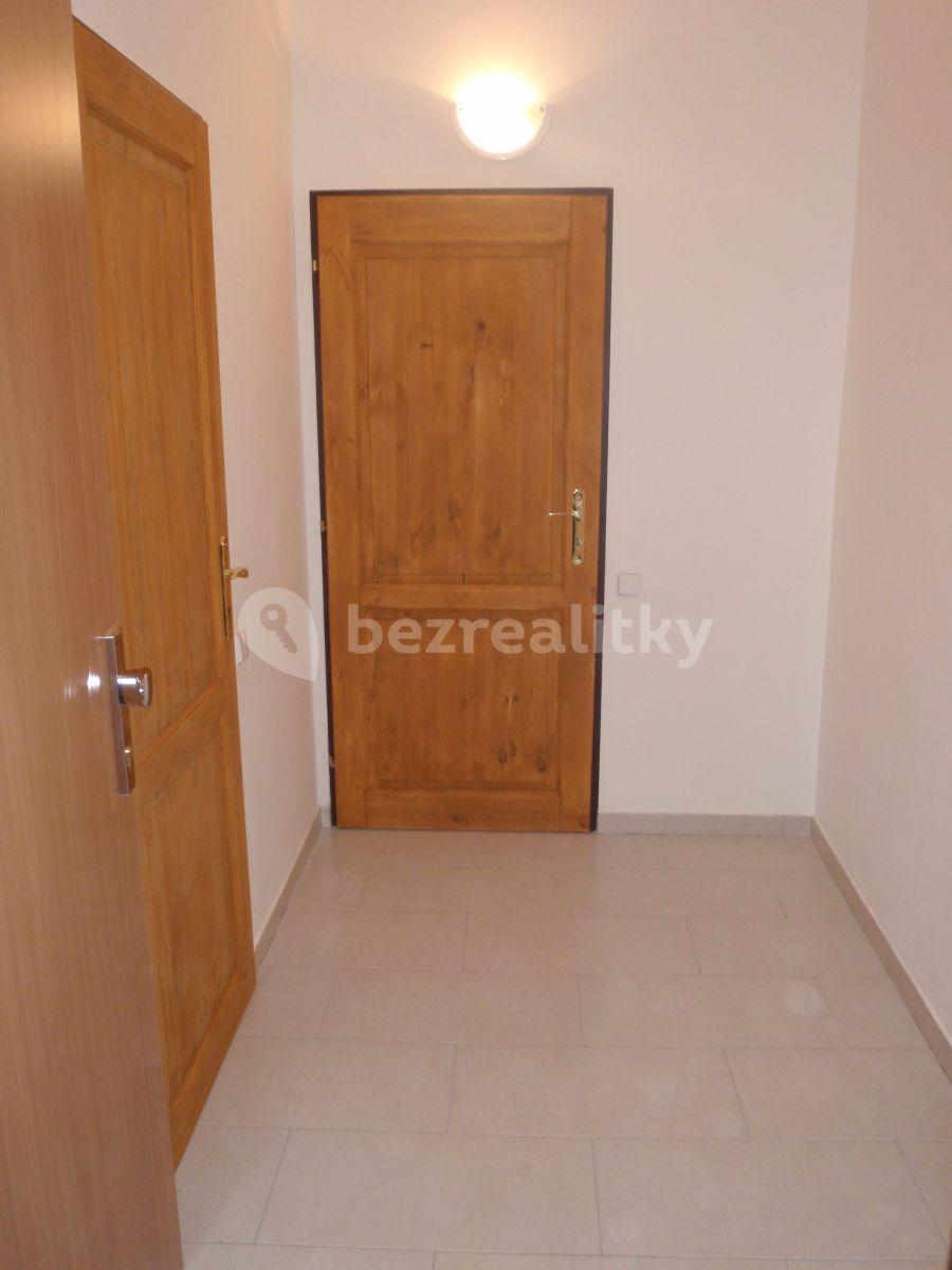 1 bedroom with open-plan kitchen flat to rent, 40 m², Nezamyslova, Prague, Prague