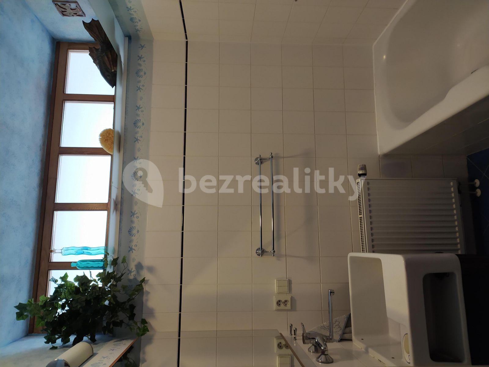 1 bedroom with open-plan kitchen flat to rent, 76 m², Šebelova, Bílovice nad Svitavou, Jihomoravský Region