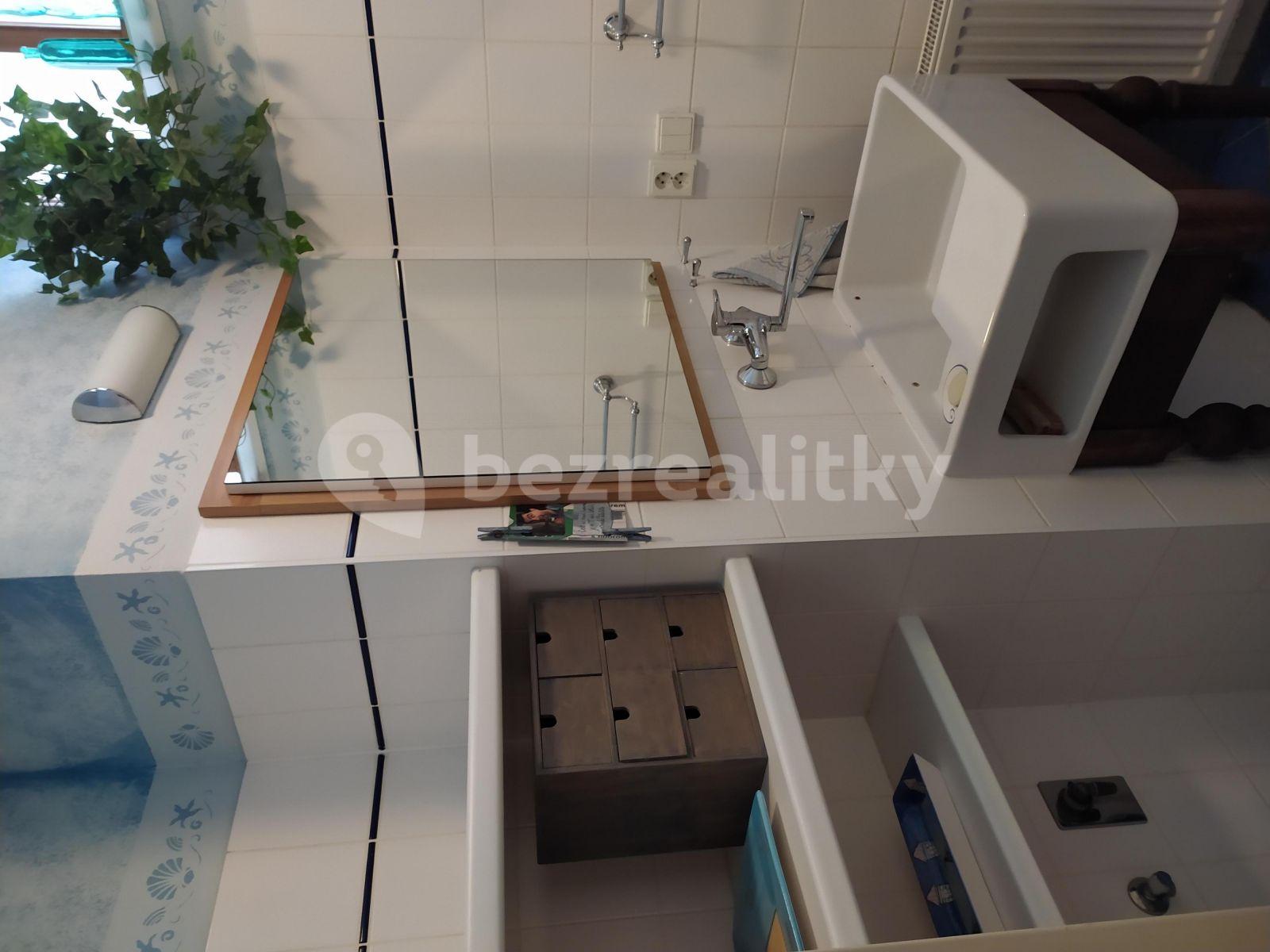 1 bedroom with open-plan kitchen flat to rent, 76 m², Šebelova, Bílovice nad Svitavou, Jihomoravský Region