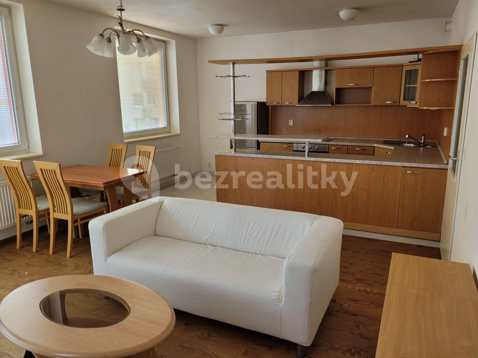 1 bedroom with open-plan kitchen flat to rent, 57 m², Kateřinské náměstí, Prague, Prague