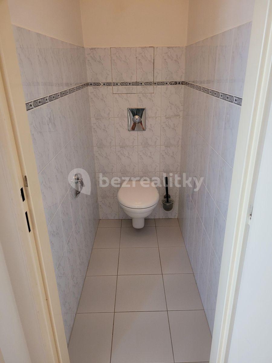 1 bedroom with open-plan kitchen flat to rent, 57 m², Kateřinské náměstí, Prague, Prague