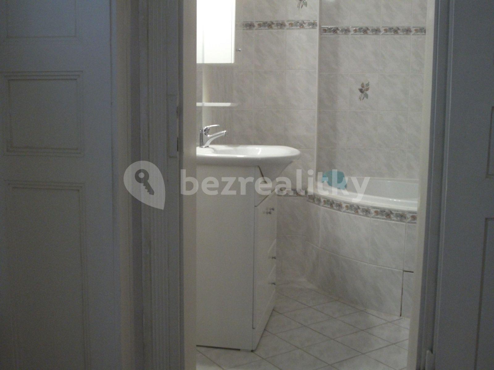 4 bedroom flat to rent, 148 m², U Havlíčkových sadů, Prague, Prague