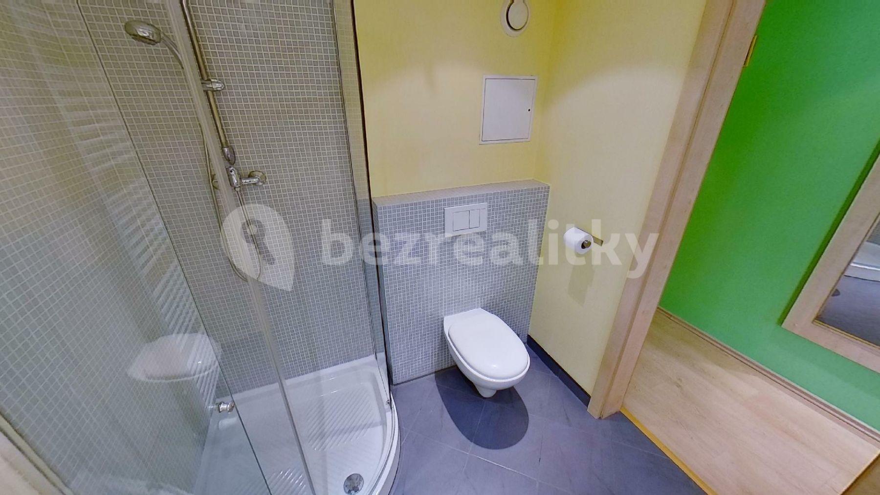 Studio flat to rent, 36 m², Špitálská, Hradec Králové, Královéhradecký Region