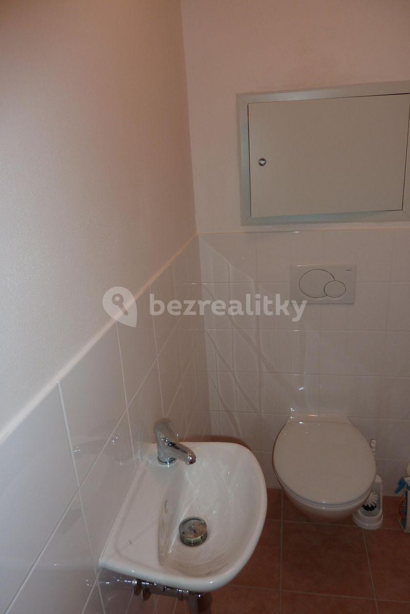 1 bedroom with open-plan kitchen flat to rent, 74 m², Panuškova, Prague, Prague