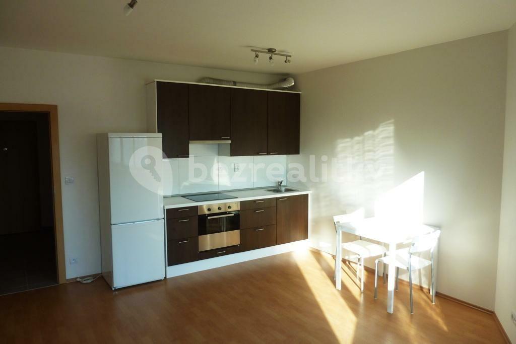 1 bedroom with open-plan kitchen flat to rent, 74 m², Panuškova, Prague, Prague