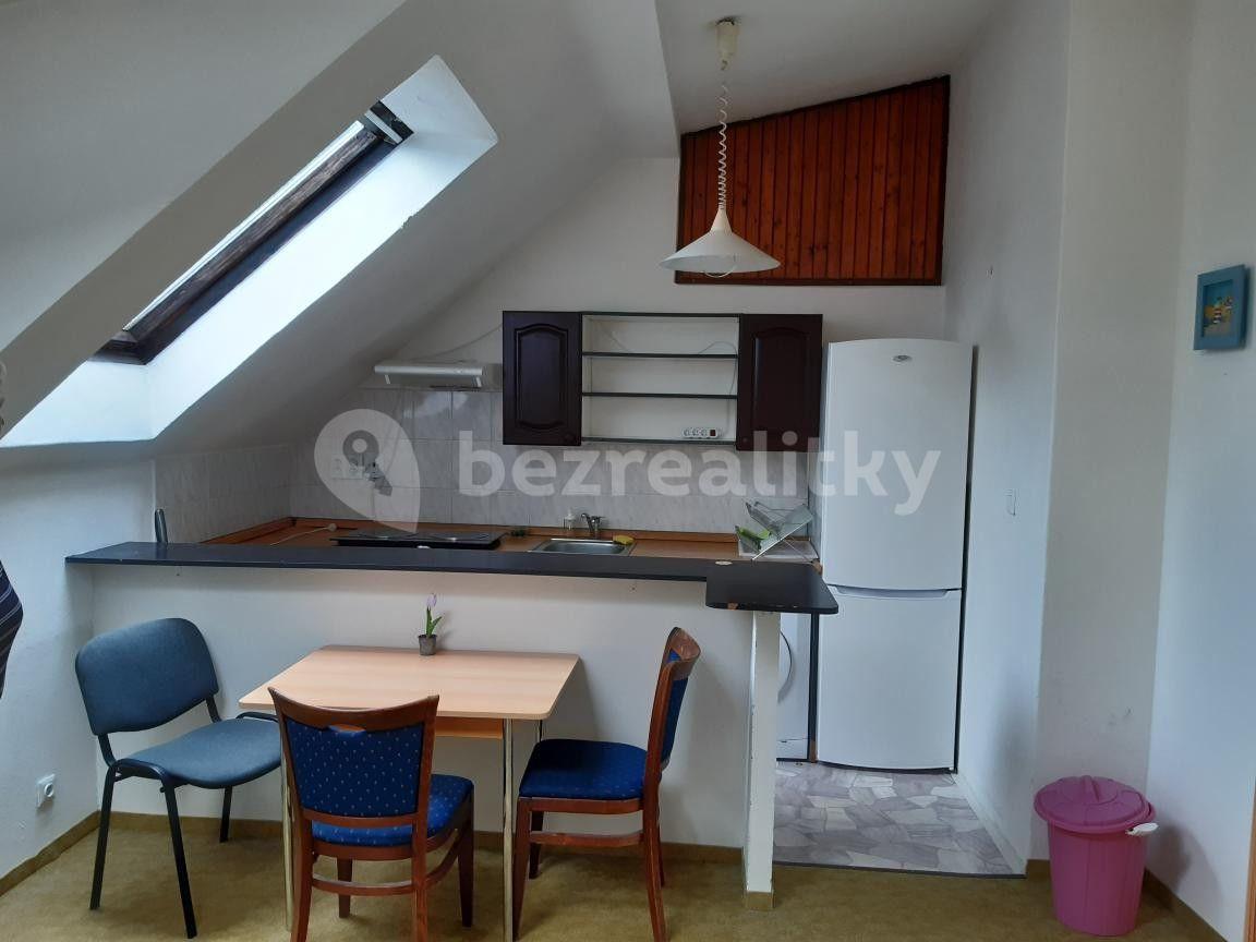 1 bedroom with open-plan kitchen flat to rent, 40 m², Za pavilónem, Prague, Prague