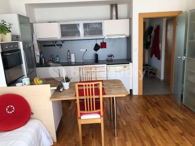 1 bedroom with open-plan kitchen flat to rent, 58 m², K Lesu, Prague, Prague