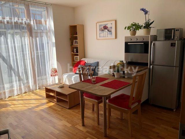 1 bedroom with open-plan kitchen flat to rent, 58 m², K Lesu, Prague, Prague