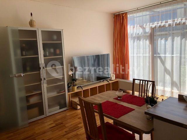 1 bedroom with open-plan kitchen flat to rent, 58 m², K Lesu, Prague, Prague