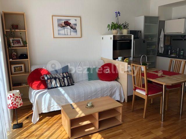 1 bedroom with open-plan kitchen flat to rent, 58 m², K Lesu, Prague, Prague