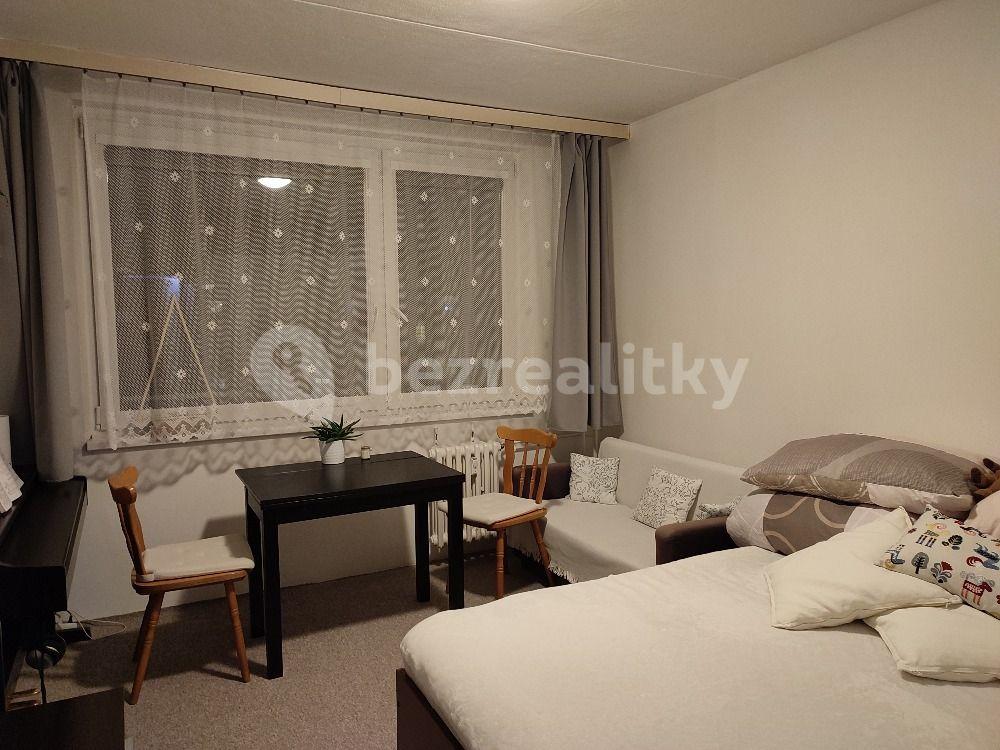 Studio flat to rent, 30 m², Rochovská, Prague, Prague