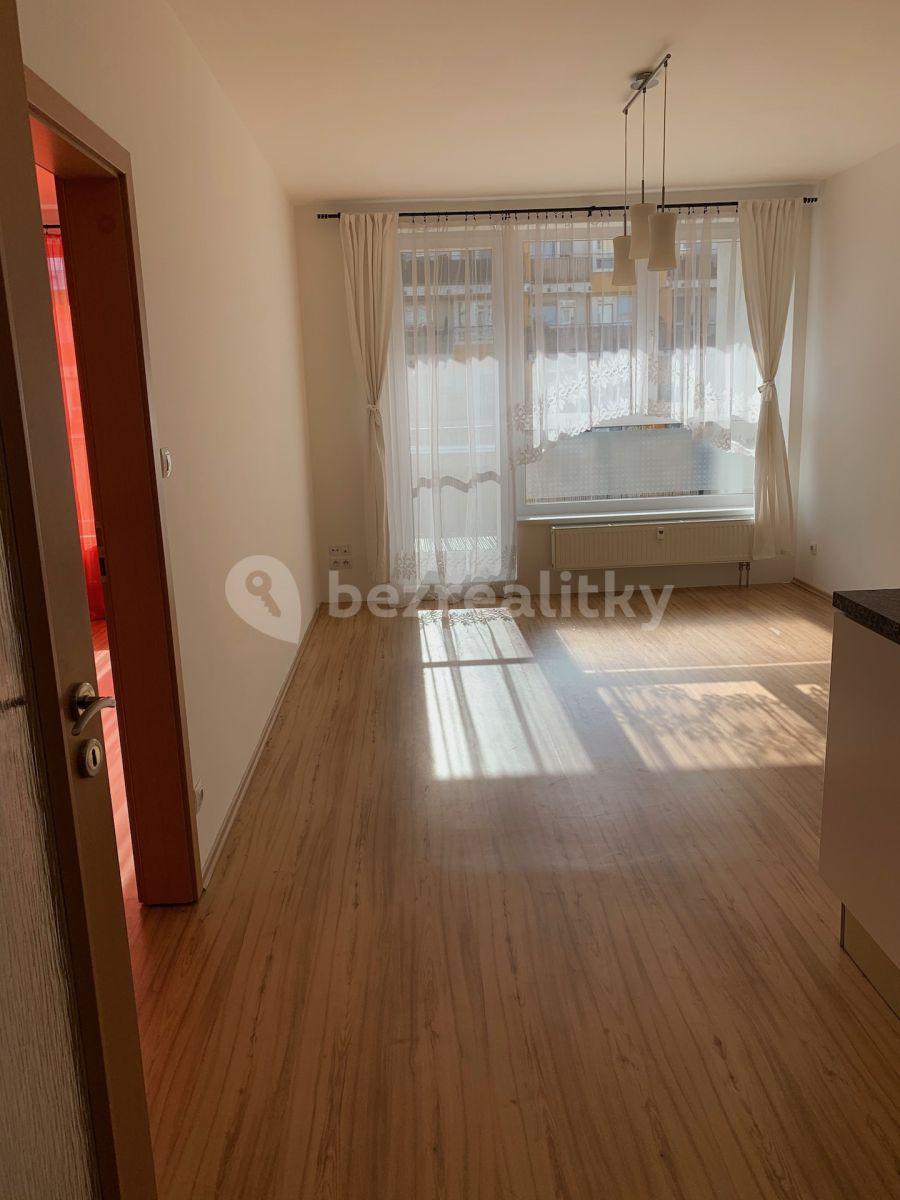 1 bedroom with open-plan kitchen flat to rent, 47 m², Pod Harfou, Prague, Prague