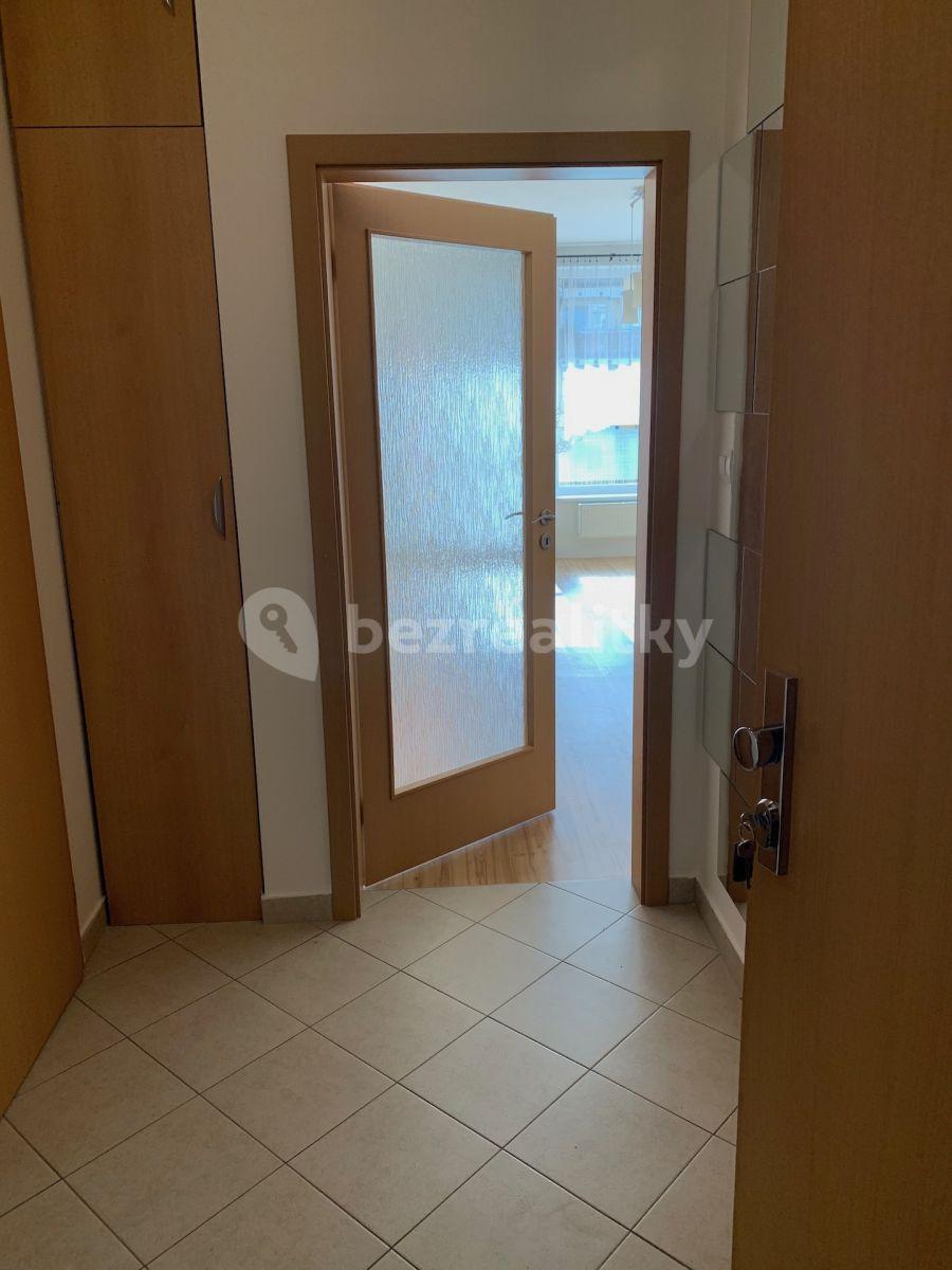 1 bedroom with open-plan kitchen flat to rent, 47 m², Pod Harfou, Prague, Prague