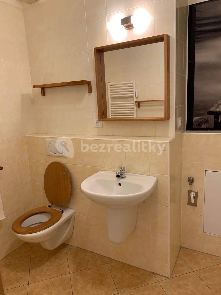 1 bedroom with open-plan kitchen flat to rent, 47 m², Pod Harfou, Prague, Prague