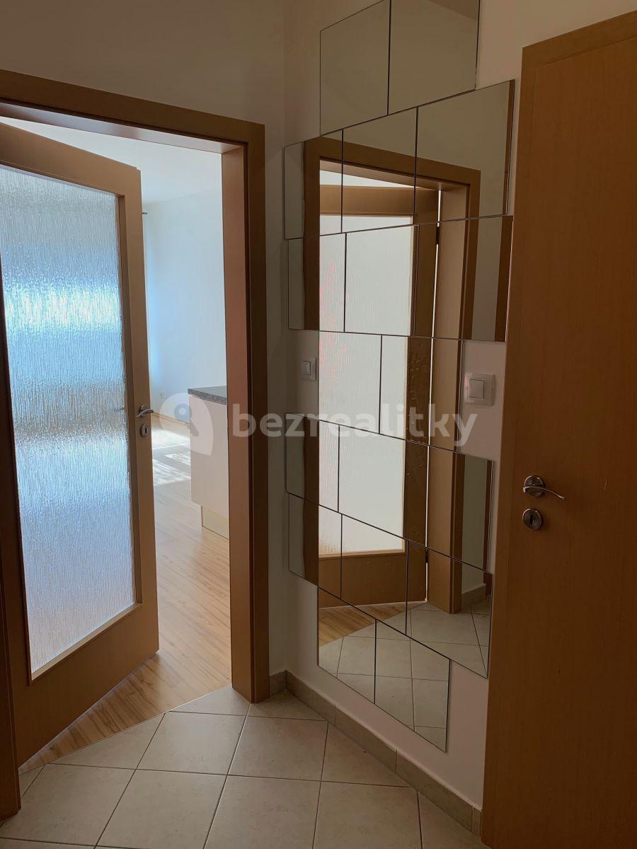 1 bedroom with open-plan kitchen flat to rent, 47 m², Pod Harfou, Prague, Prague