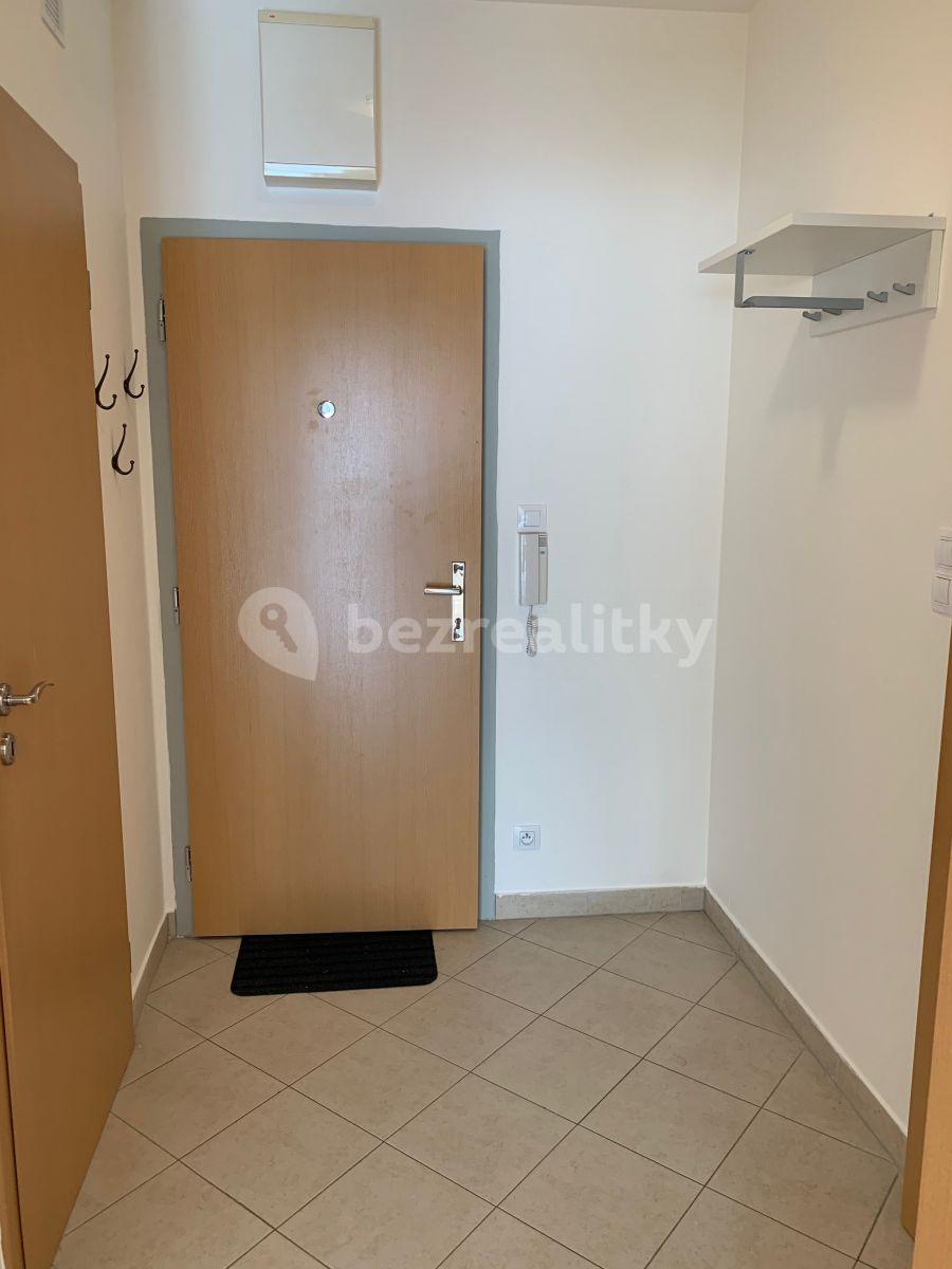 1 bedroom with open-plan kitchen flat to rent, 47 m², Pod Harfou, Prague, Prague