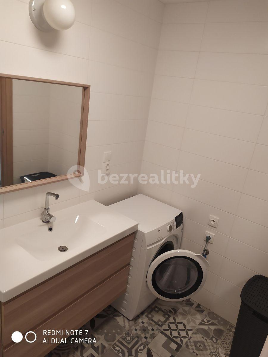 2 bedroom with open-plan kitchen flat to rent, 74 m², Na okraji, Prague, Prague