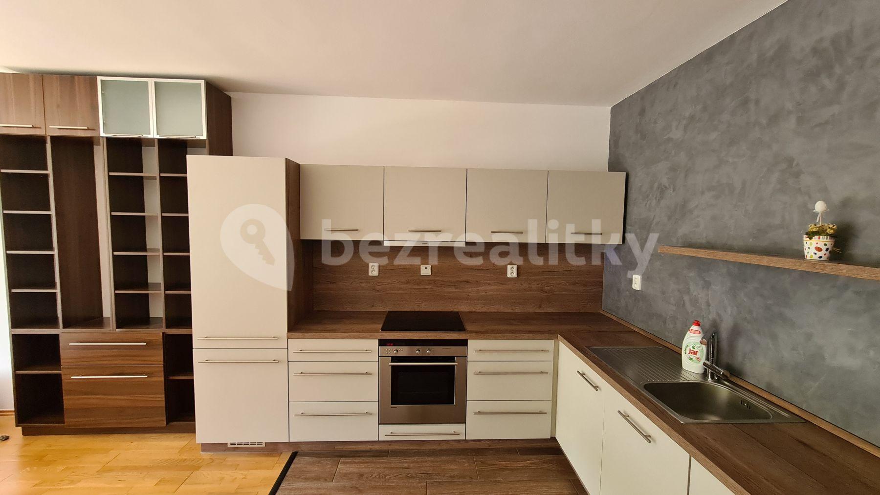 1 bedroom with open-plan kitchen flat to rent, 53 m², K Haltýři, Prague, Prague