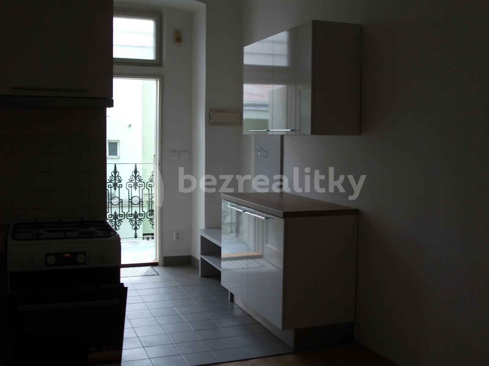 1 bedroom with open-plan kitchen flat to rent, 48 m², Křižíkova, Prague, Prague