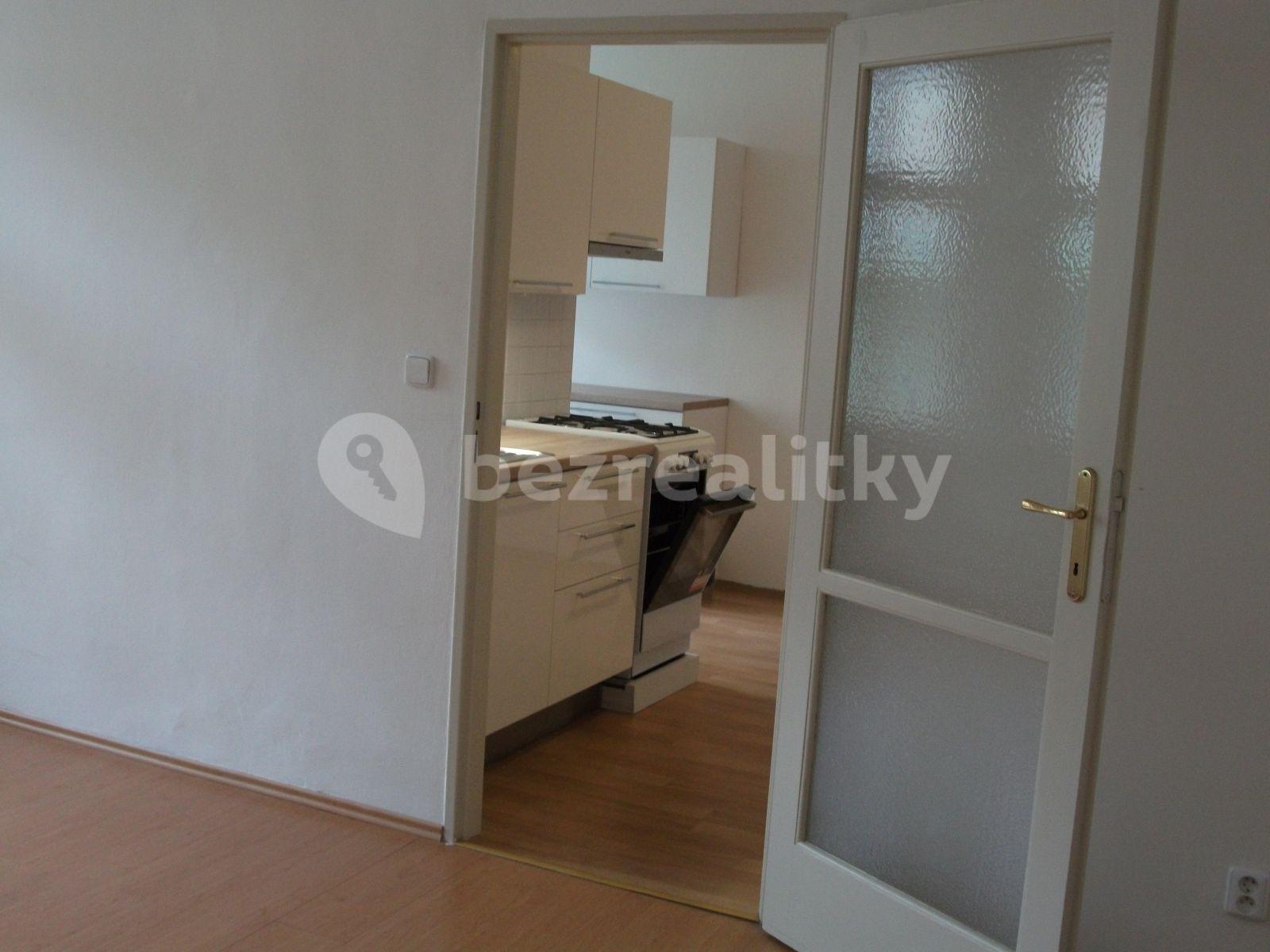 1 bedroom with open-plan kitchen flat to rent, 48 m², Křižíkova, Prague, Prague