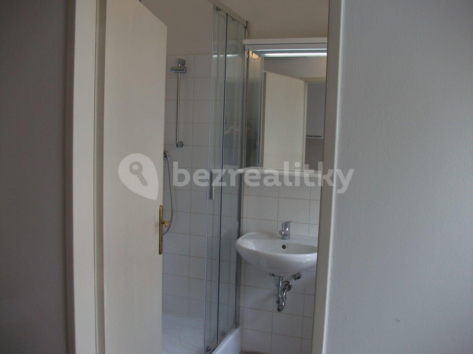 1 bedroom with open-plan kitchen flat to rent, 48 m², Křižíkova, Prague, Prague