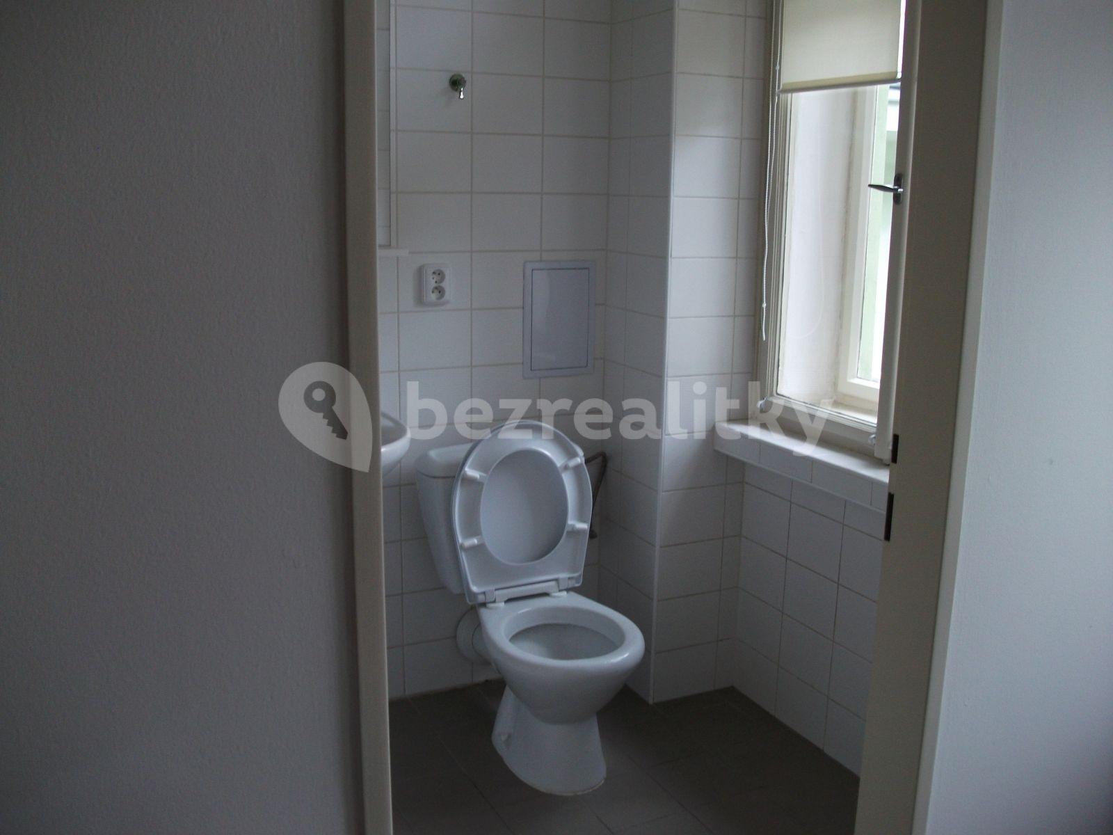 1 bedroom with open-plan kitchen flat to rent, 48 m², Křižíkova, Prague, Prague