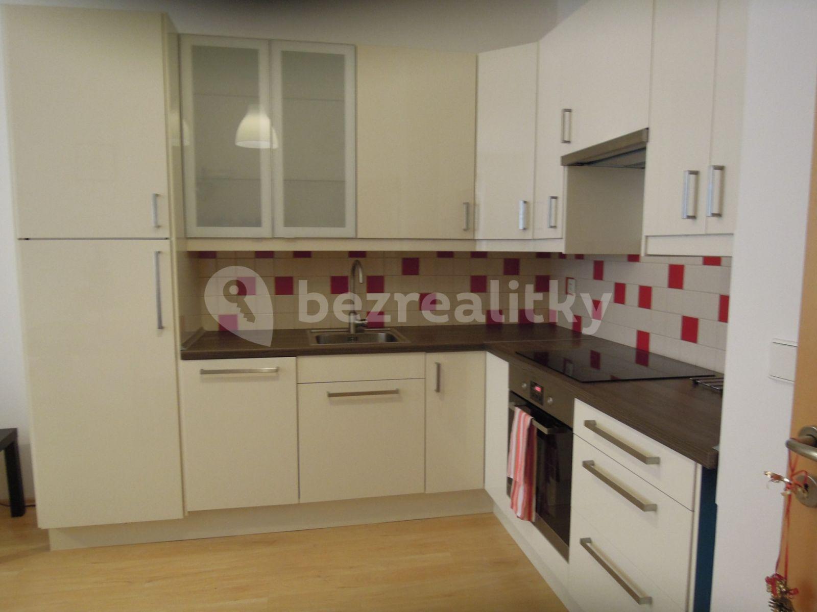 1 bedroom with open-plan kitchen flat to rent, 55 m², Lukášova, Prague, Prague