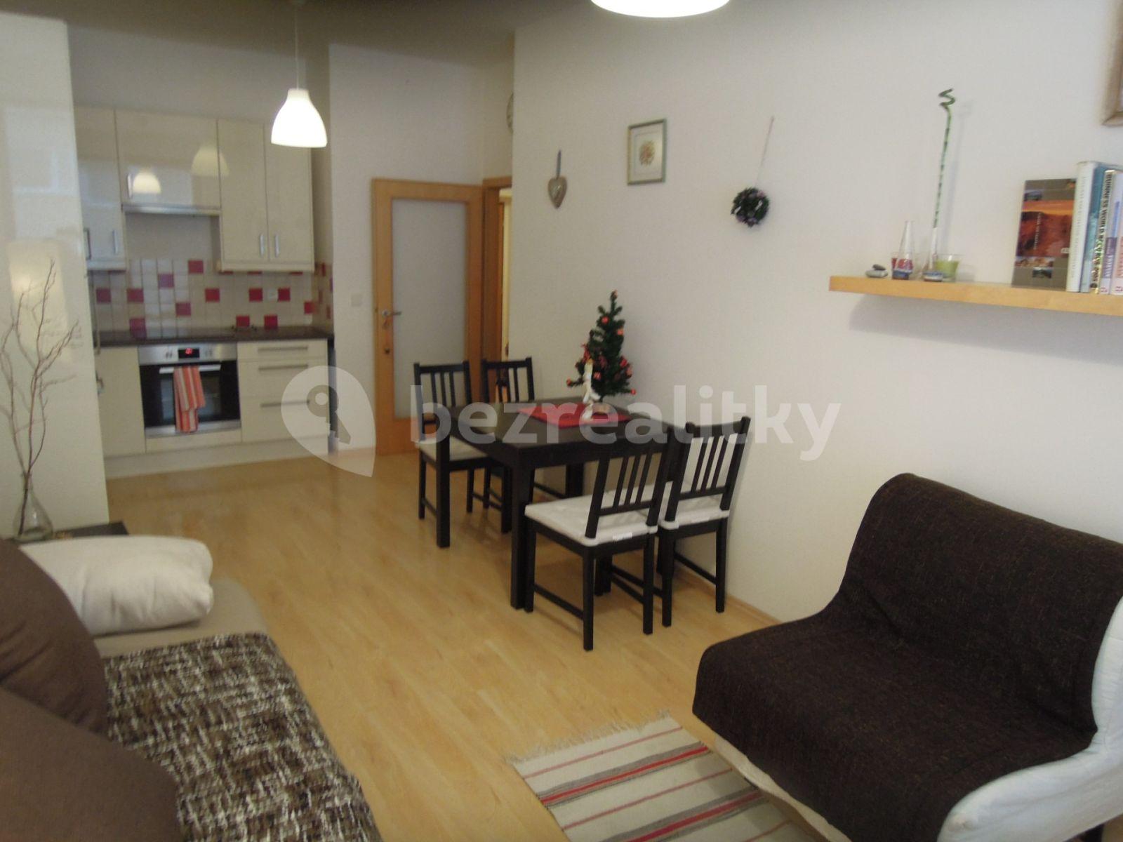 1 bedroom with open-plan kitchen flat to rent, 55 m², Lukášova, Prague, Prague