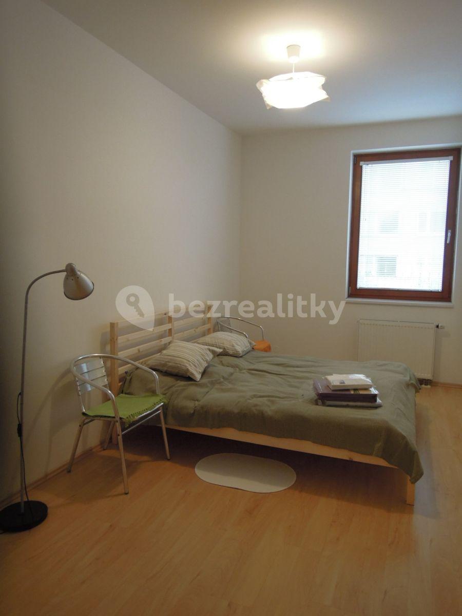 1 bedroom with open-plan kitchen flat to rent, 55 m², Lukášova, Prague, Prague