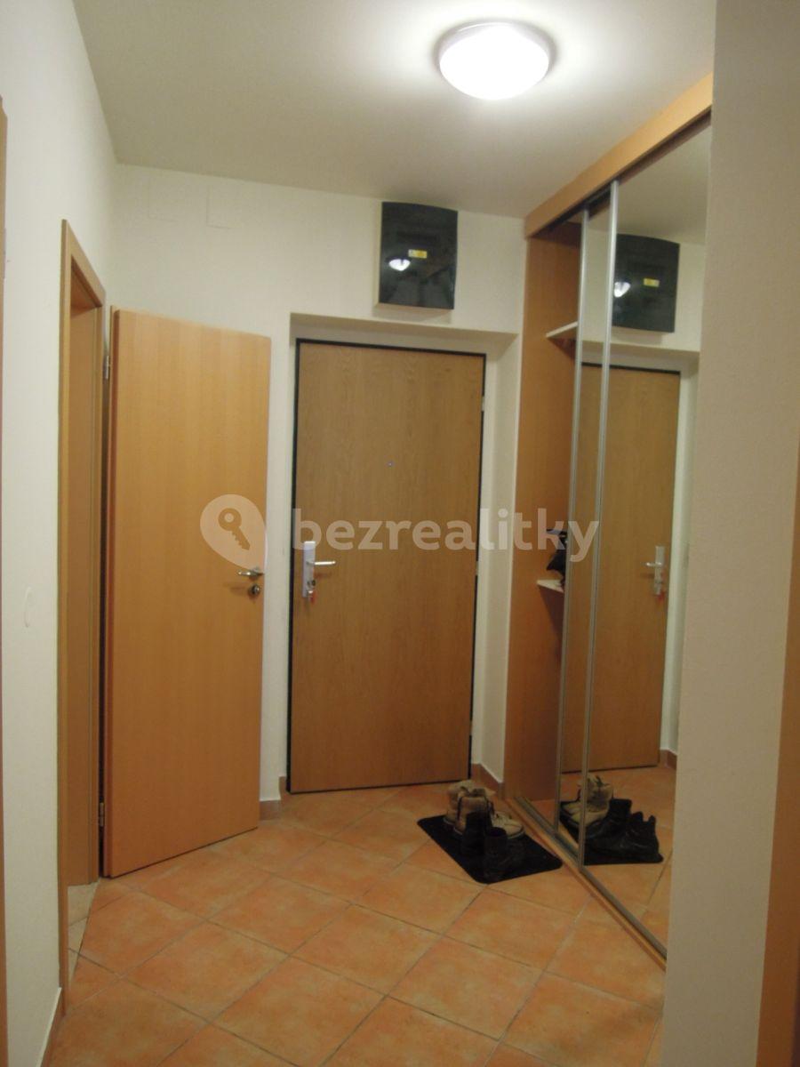 1 bedroom with open-plan kitchen flat to rent, 55 m², Lukášova, Prague, Prague