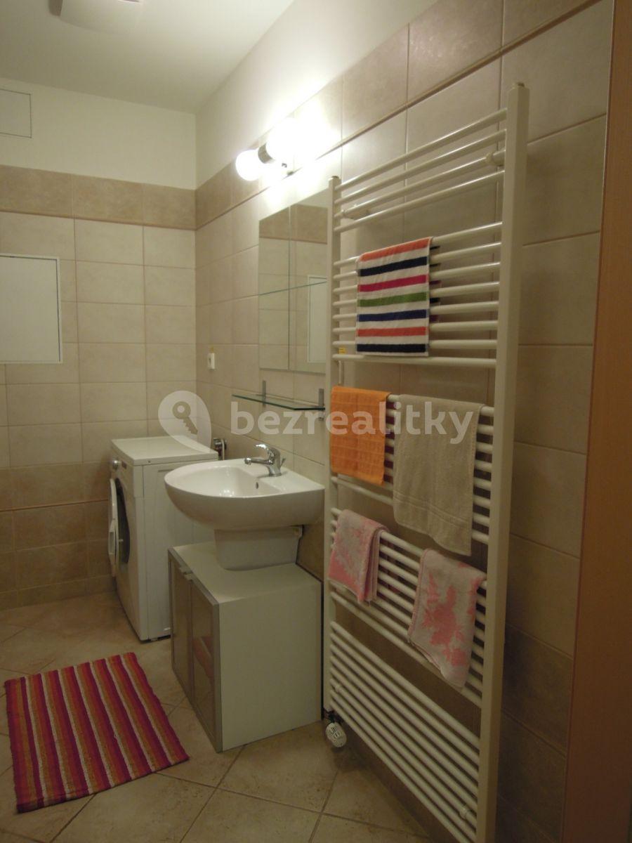 1 bedroom with open-plan kitchen flat to rent, 55 m², Lukášova, Prague, Prague