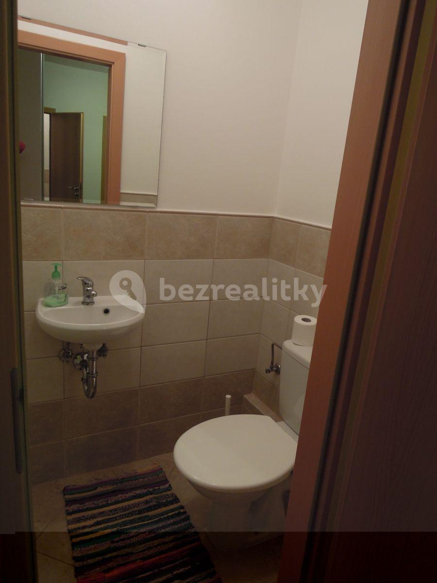 1 bedroom with open-plan kitchen flat to rent, 55 m², Lukášova, Prague, Prague