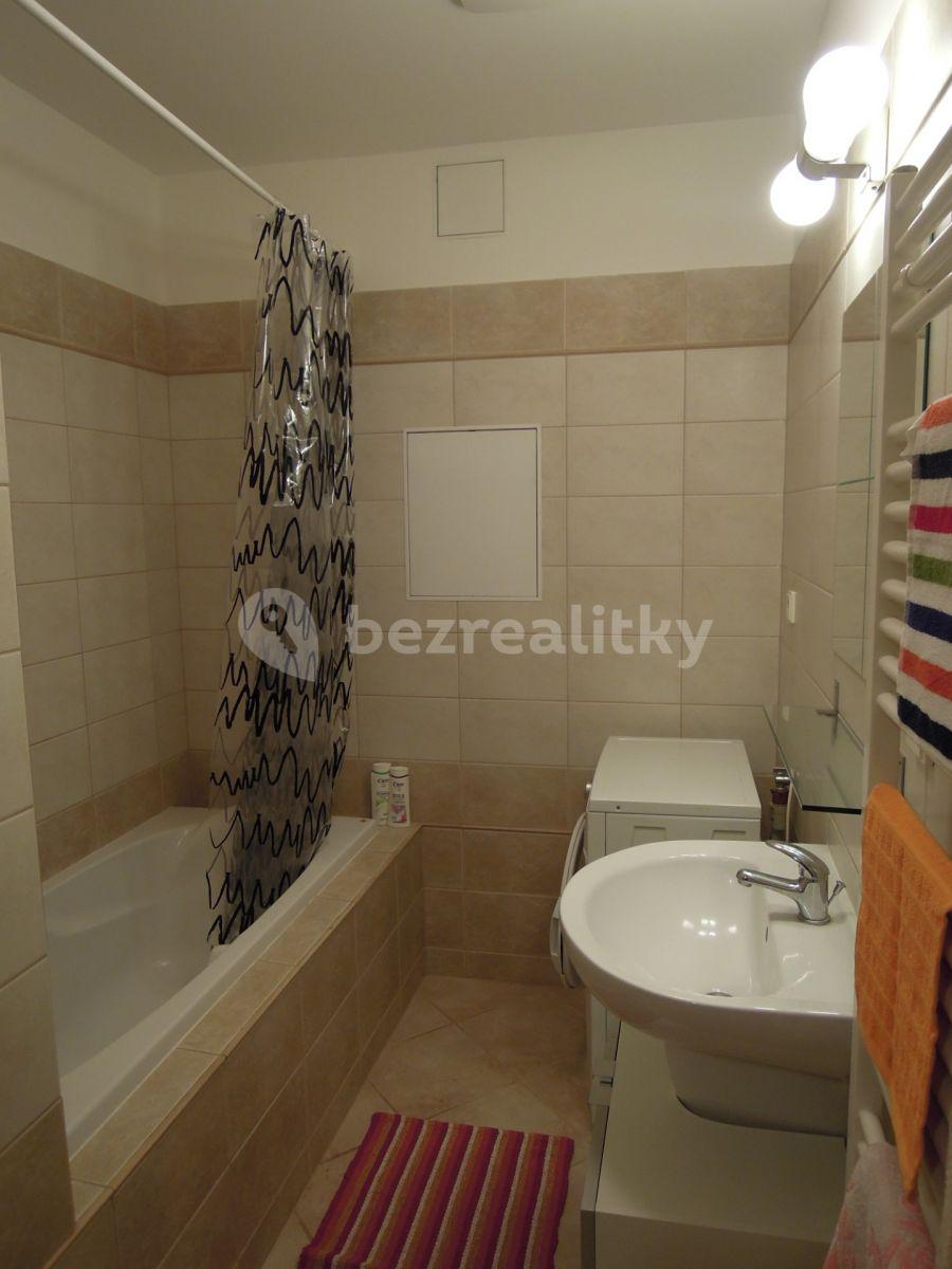 1 bedroom with open-plan kitchen flat to rent, 55 m², Lukášova, Prague, Prague