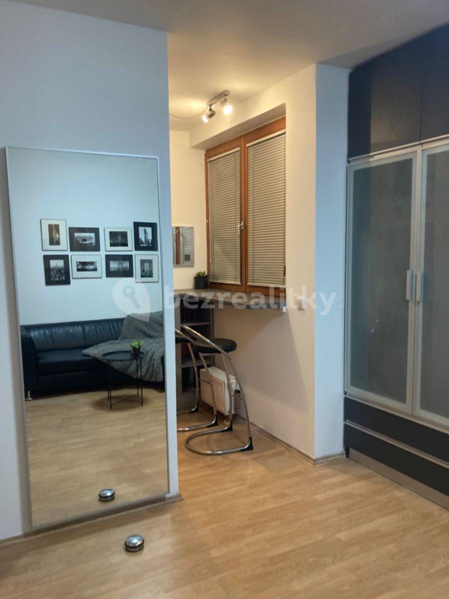 Studio flat to rent, 30 m², Lukášova, Prague, Prague