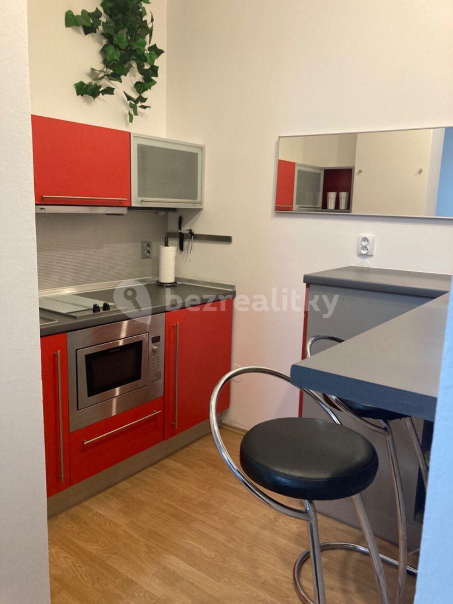 Studio flat to rent, 30 m², Lukášova, Prague, Prague