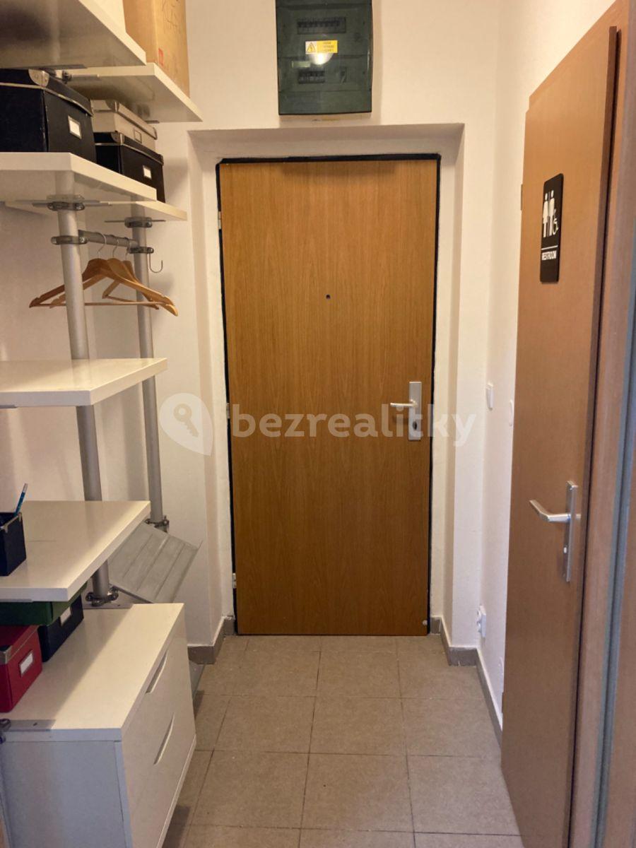 Studio flat to rent, 30 m², Lukášova, Prague, Prague