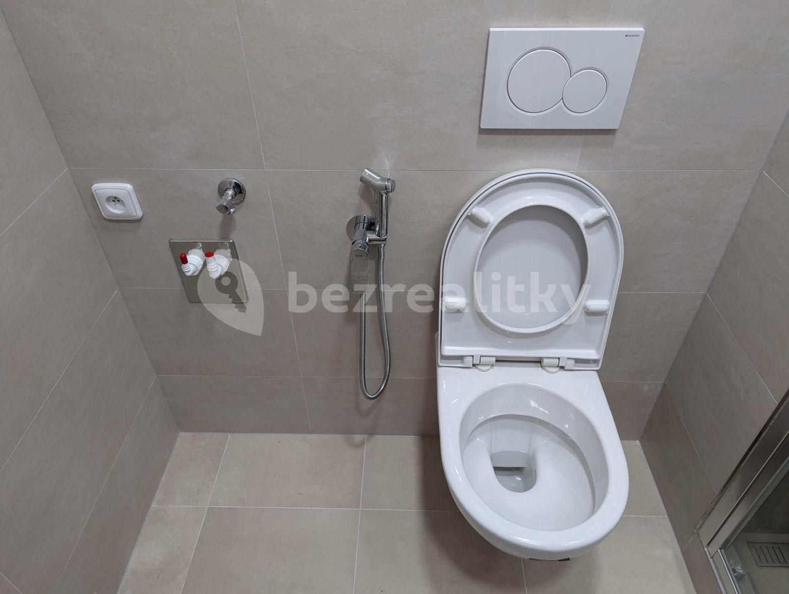 1 bedroom with open-plan kitchen flat to rent, 40 m², Plamínkové, Prague, Prague