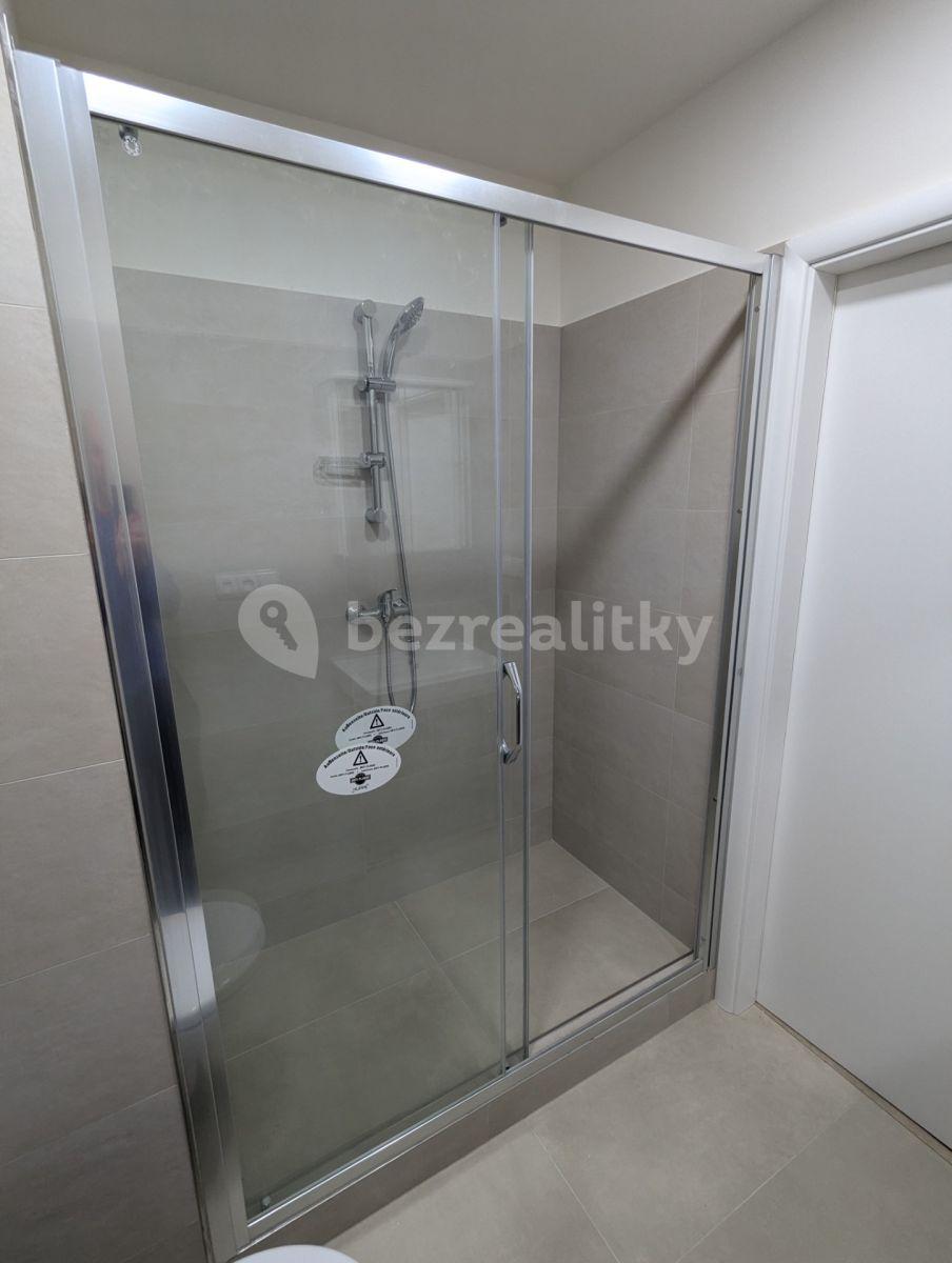 1 bedroom with open-plan kitchen flat to rent, 40 m², Plamínkové, Prague, Prague