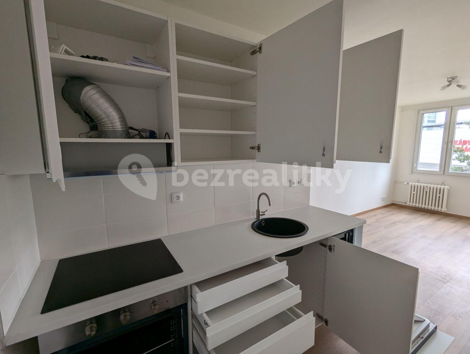 1 bedroom with open-plan kitchen flat to rent, 40 m², Plamínkové, Prague, Prague