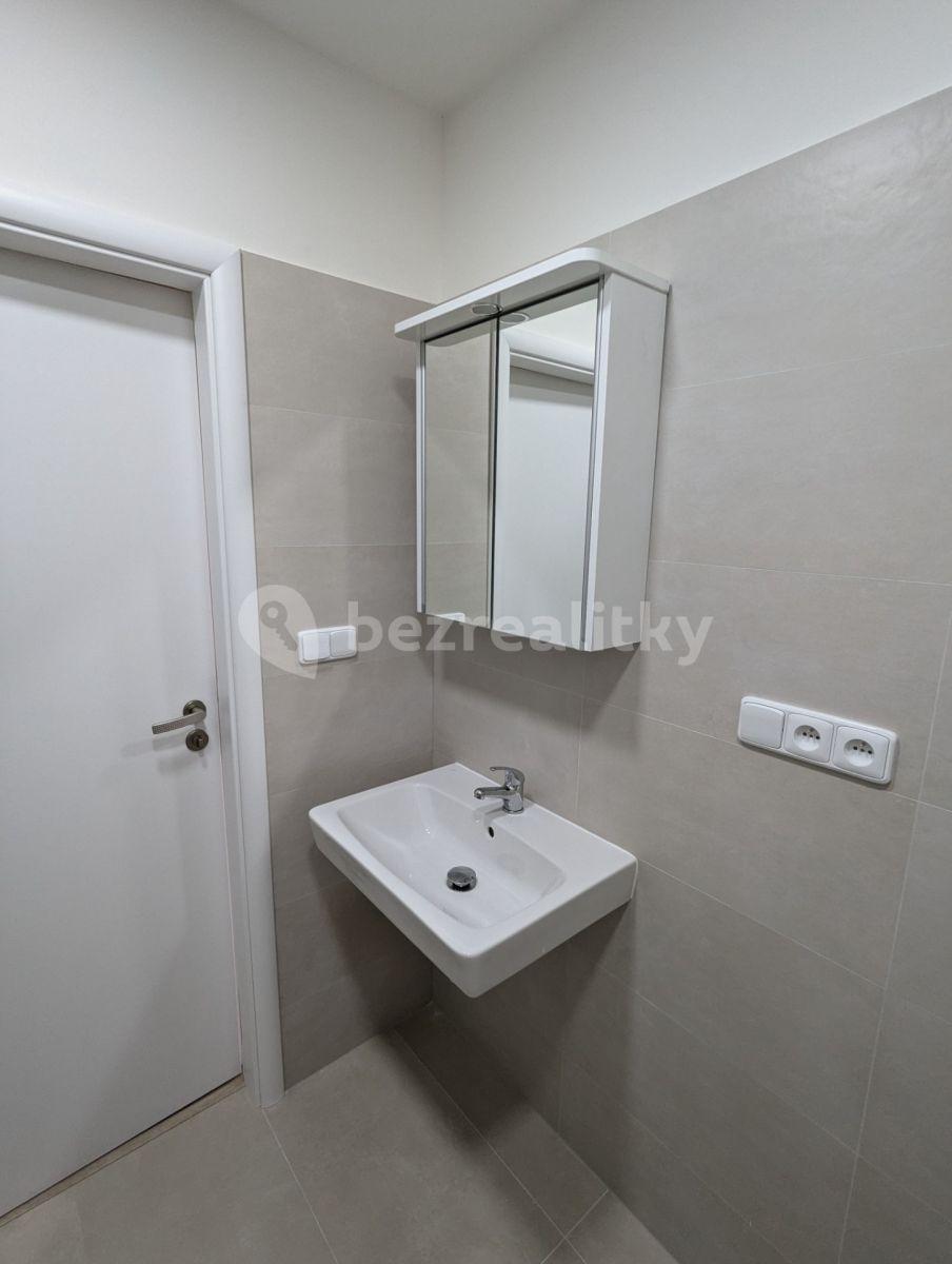 1 bedroom with open-plan kitchen flat to rent, 40 m², Plamínkové, Prague, Prague