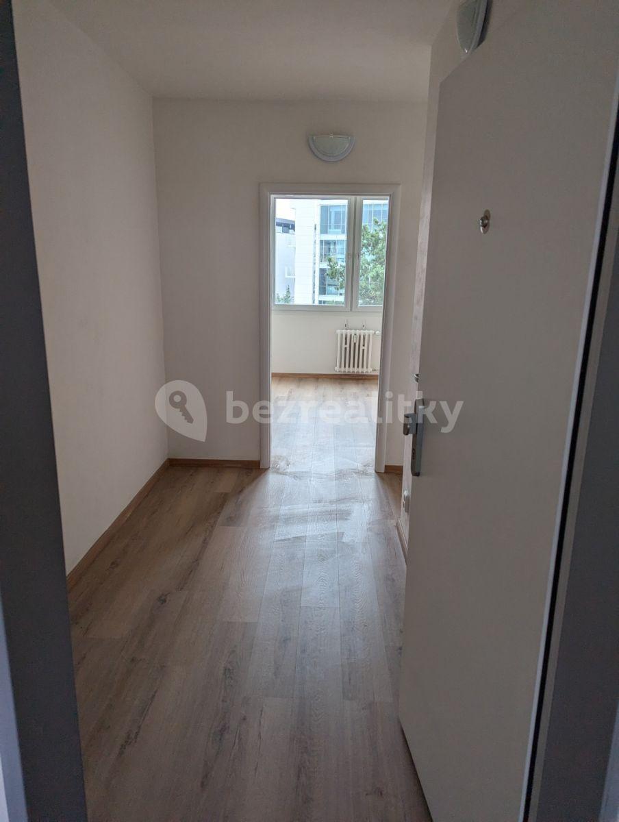 1 bedroom with open-plan kitchen flat to rent, 40 m², Plamínkové, Prague, Prague