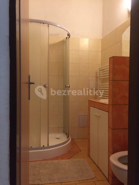 1 bedroom with open-plan kitchen flat to rent, 40 m², Radyňská, Plzeň, Plzeňský Region