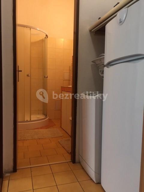 1 bedroom with open-plan kitchen flat to rent, 40 m², Radyňská, Plzeň, Plzeňský Region