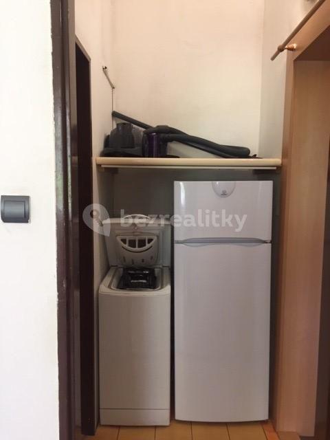 1 bedroom with open-plan kitchen flat to rent, 40 m², Radyňská, Plzeň, Plzeňský Region