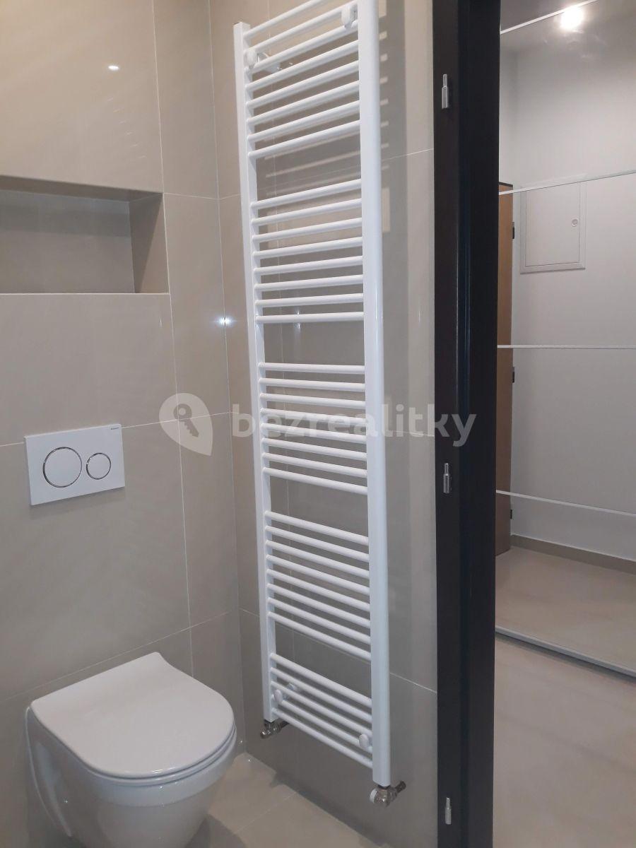 1 bedroom with open-plan kitchen flat to rent, 54 m², Nuselská, Prague, Prague