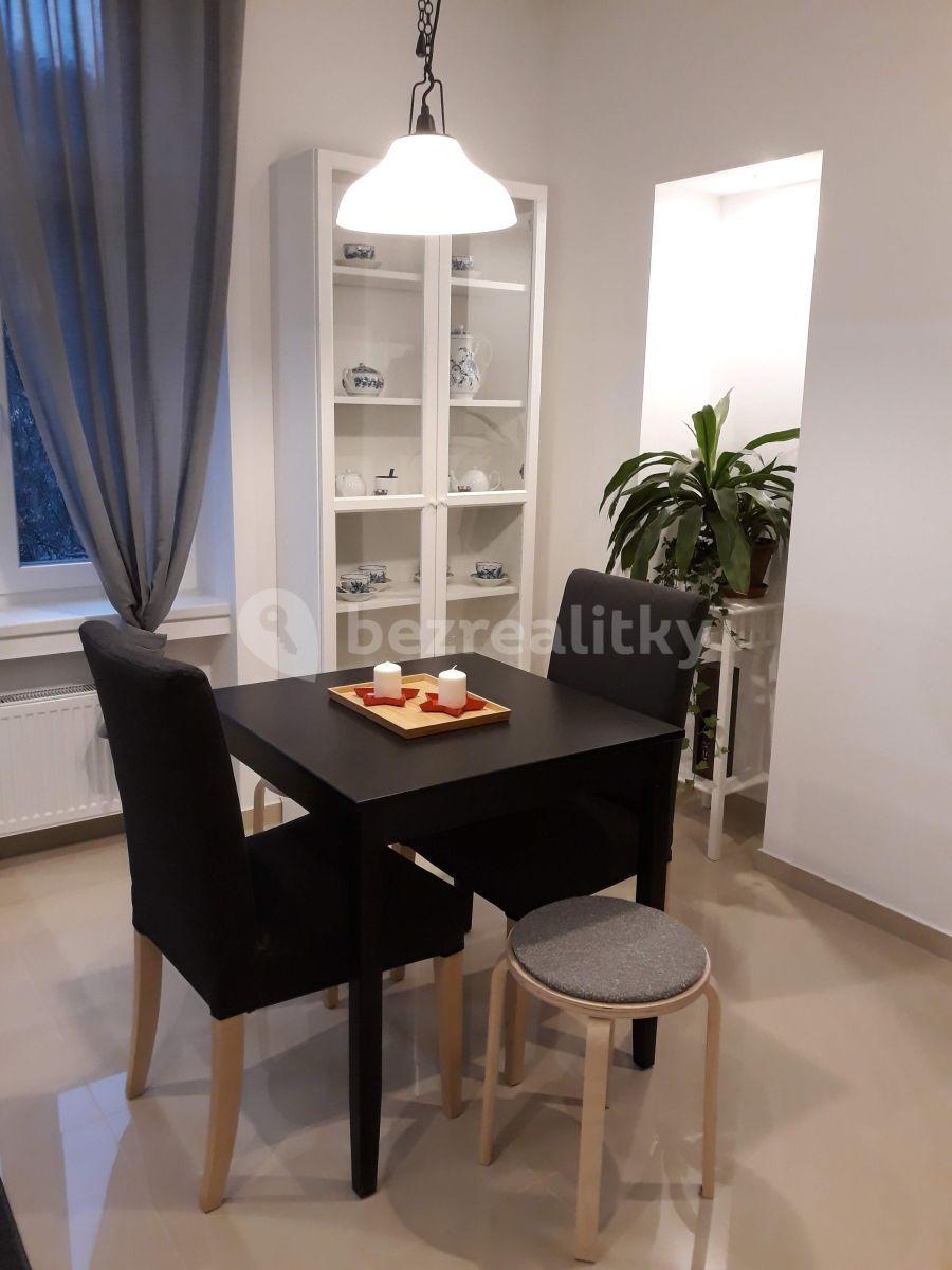 1 bedroom with open-plan kitchen flat to rent, 54 m², Nuselská, Prague, Prague